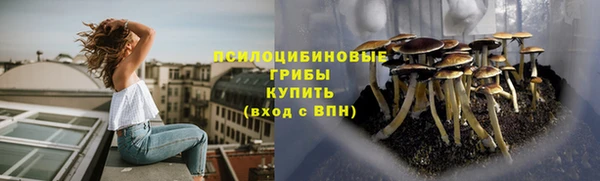 кокс Краснослободск