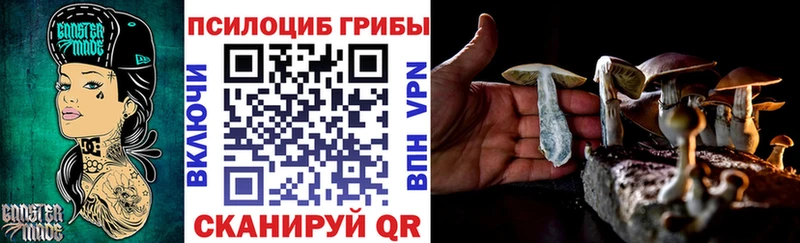 Галлюциногенные грибы мицелий  Купить закладки  Верея 